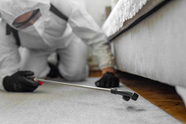 Professional Bed Bug Control technician working in Franklinton, LA